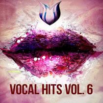 Vocal Hits Vol. 6 (2020) MP3