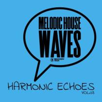 Melodic House Waves: Harmonic Echoes, Vol 03 (2024) MP3