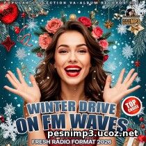 Winter Drive On FM Waves